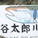 谷太郎川ます釣り場のシンボル
