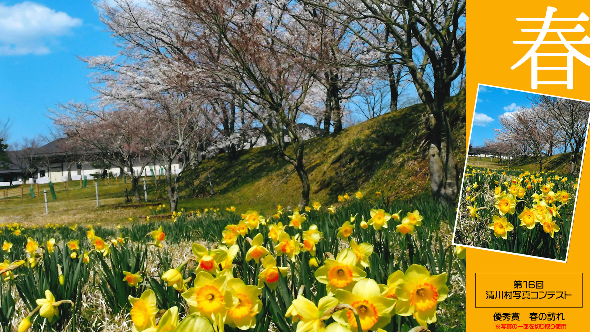 清川の春